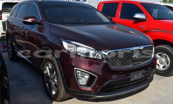 Buy Import Kia Sorento Brown Car in Import - Dubai in Agalega Islands Buy Import Kia Sorento Brown Car in Import - Dubai in Agalega Islands