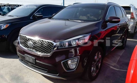 Buy Import Kia Sorento Brown Car in Import - Dubai in Agalega Islands Buy Import Kia Sorento Brown Car in Import - Dubai in Agalega Islands