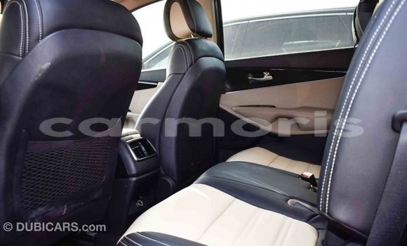 Buy Import Kia Sorento Brown Car in Import - Dubai in Agalega Islands Buy Import Kia Sorento Brown Car in Import - Dubai in Agalega Islands