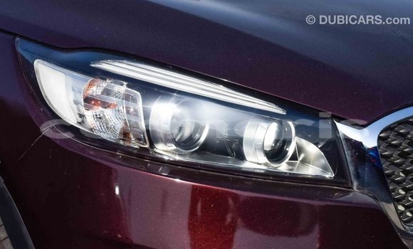 Buy Import Kia Sorento Brown Car in Import - Dubai in Agalega Islands Buy Import Kia Sorento Brown Car in Import - Dubai in Agalega Islands