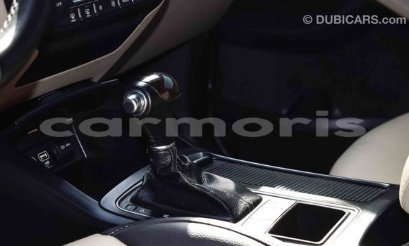 Buy Import Kia Sorento Brown Car in Import - Dubai in Agalega Islands Buy Import Kia Sorento Brown Car in Import - Dubai in Agalega Islands