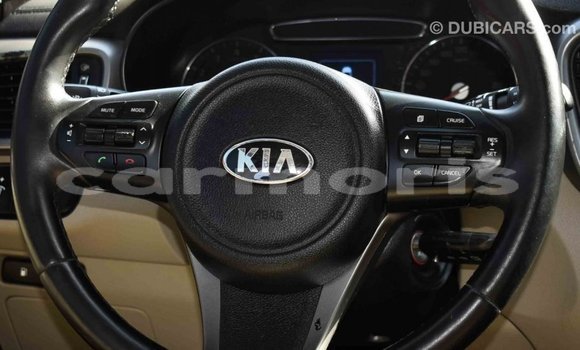 Buy Import Kia Sorento Brown Car in Import - Dubai in Agalega Islands Buy Import Kia Sorento Brown Car in Import - Dubai in Agalega Islands