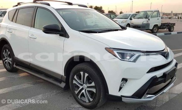 Buy Import Toyota RAV4 White Car in Import - Dubai in Agalega Islands Buy Import Toyota RAV4 White Car in Import - Dubai in Agalega Islands