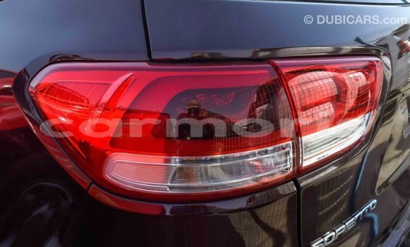 Buy Import Kia Sorento Brown Car in Import - Dubai in Agalega Islands Buy Import Kia Sorento Brown Car in Import - Dubai in Agalega Islands