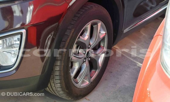 Buy Import Kia Sorento Brown Car in Import - Dubai in Agalega Islands Buy Import Kia Sorento Brown Car in Import - Dubai in Agalega Islands