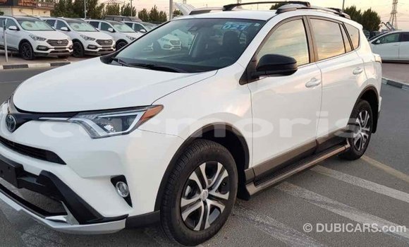 Buy Import Toyota RAV4 White Car in Import - Dubai in Agalega Islands Buy Import Toyota RAV4 White Car in Import - Dubai in Agalega Islands