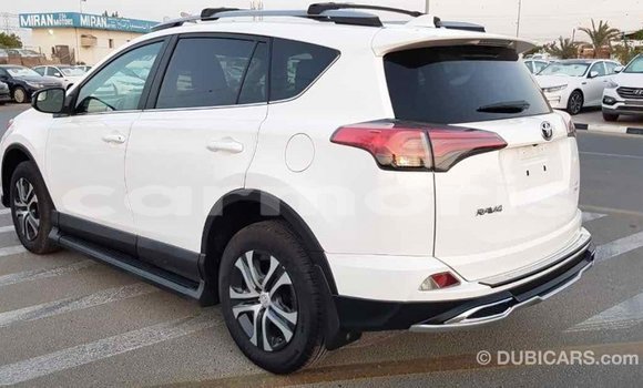 Buy Import Toyota RAV4 White Car in Import - Dubai in Agalega Islands Buy Import Toyota RAV4 White Car in Import - Dubai in Agalega Islands