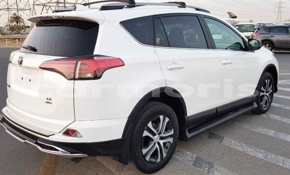 Buy Import Toyota RAV4 White Car in Import - Dubai in Agalega Islands Buy Import Toyota RAV4 White Car in Import - Dubai in Agalega Islands