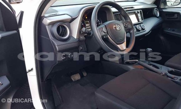 Buy Import Toyota RAV4 White Car in Import - Dubai in Agalega Islands Buy Import Toyota RAV4 White Car in Import - Dubai in Agalega Islands