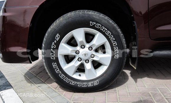 Buy Import Toyota Prado Brown Car in Import - Dubai in Agalega Islands Buy Import Toyota Prado Brown Car in Import - Dubai in Agalega Islands