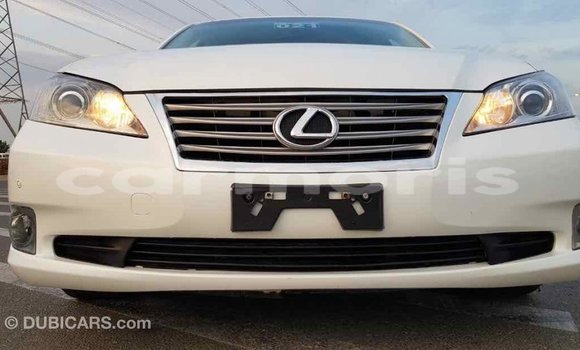 Buy Import Lexus ES White Car in Import - Dubai in Agalega Islands Buy Import Lexus ES White Car in Import - Dubai in Agalega Islands