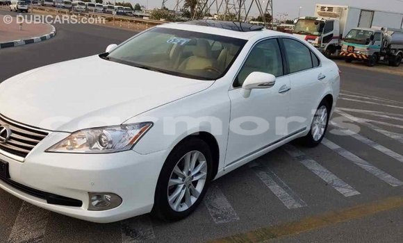 Buy Import Lexus ES White Car in Import - Dubai in Agalega Islands Buy Import Lexus ES White Car in Import - Dubai in Agalega Islands