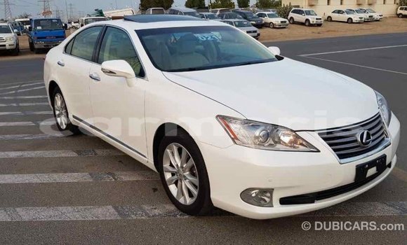 Buy Import Lexus ES White Car in Import - Dubai in Agalega Islands Buy Import Lexus ES White Car in Import - Dubai in Agalega Islands
