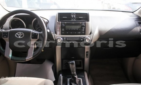 Buy Import Toyota Prado Other Car in Import - Dubai in Agalega Islands Buy Import Toyota Prado Other Car in Import - Dubai in Agalega Islands