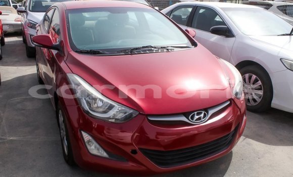 Buy Import Hyundai Elantra Red Car in Import - Dubai in Agalega Islands Buy Import Hyundai Elantra Red Car in Import - Dubai in Agalega Islands