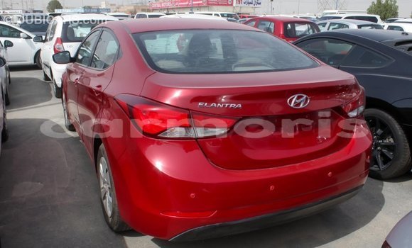 Buy Import Hyundai Elantra Red Car in Import - Dubai in Agalega Islands Buy Import Hyundai Elantra Red Car in Import - Dubai in Agalega Islands