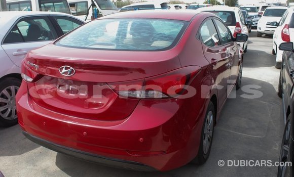 Buy Import Hyundai Elantra Red Car in Import - Dubai in Agalega Islands Buy Import Hyundai Elantra Red Car in Import - Dubai in Agalega Islands