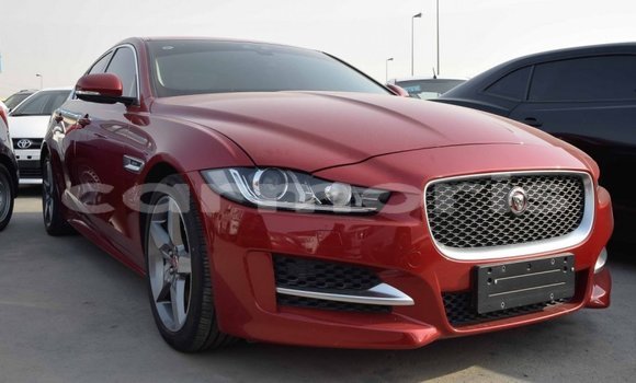 Buy Import Jaguar XE Red Car in Import - Dubai in Agalega Islands