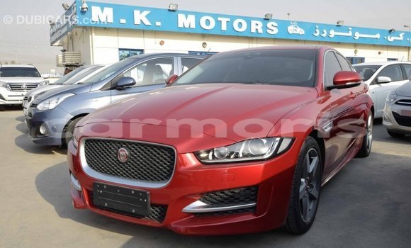 Acheter Import Voiture Jaguar XE Rouge à Import - Dubai, Îles Agalega Acheter Import Voiture Jaguar XE Rouge à Import - Dubai, Îles Agalega