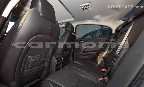 Acheter Import Voiture Jaguar XE Rouge à Import - Dubai, Îles Agalega Acheter Import Voiture Jaguar XE Rouge à Import - Dubai, Îles Agalega