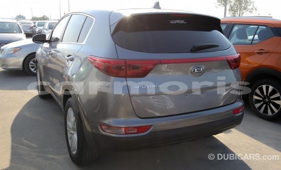 Buy Import Kia Sportage Other Car in Import - Dubai in Agalega Islands Buy Import Kia Sportage Other Car in Import - Dubai in Agalega Islands