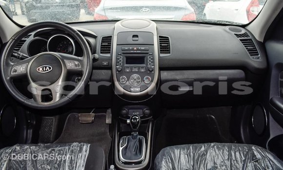 Buy Import Kia Soul Black Car in Import - Dubai in Agalega Islands Buy Import Kia Soul Black Car in Import - Dubai in Agalega Islands