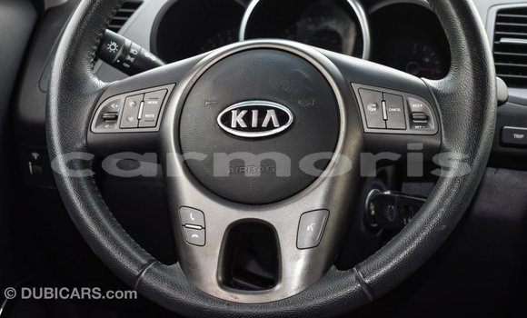 Buy Import Kia Soul Black Car in Import - Dubai in Agalega Islands Buy Import Kia Soul Black Car in Import - Dubai in Agalega Islands