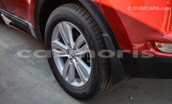 Buy Import Kia Sportage Red Car in Import - Dubai in Agalega Islands Buy Import Kia Sportage Red Car in Import - Dubai in Agalega Islands