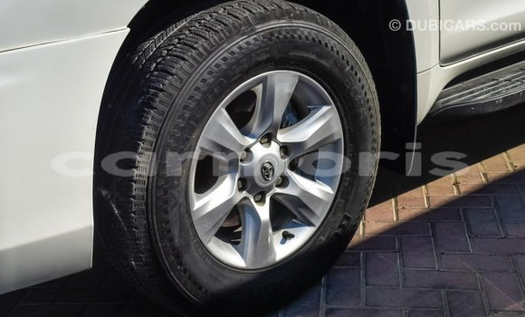 Buy Import Toyota Prado White Car in Import - Dubai in Agalega Islands Buy Import Toyota Prado White Car in Import - Dubai in Agalega Islands