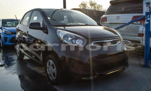 Buy Import Kia Picanto Black Car in Import - Dubai in Agalega Islands Buy Import Kia Picanto Black Car in Import - Dubai in Agalega Islands