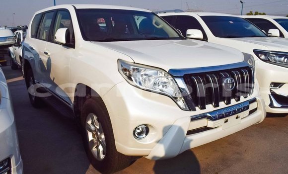 Acheter Import Voiture Toyota Prado Blanc à Import - Dubai, Îles Agalega Acheter Import Voiture Toyota Prado Blanc à Import - Dubai, Îles Agalega