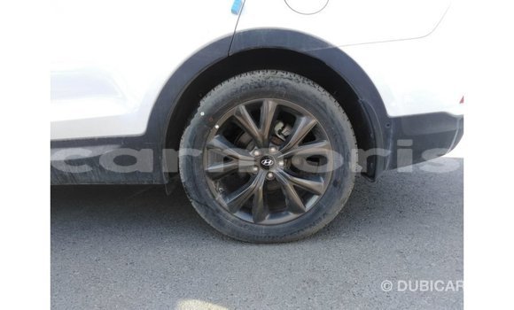 Buy Import Hyundai Santa Fe White Car in Import - Dubai in Agalega Islands Buy Import Hyundai Santa Fe White Car in Import - Dubai in Agalega Islands