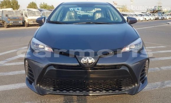Buy Import Toyota Corolla Other Car in Import - Dubai in Agalega Islands Buy Import Toyota Corolla Other Car in Import - Dubai in Agalega Islands