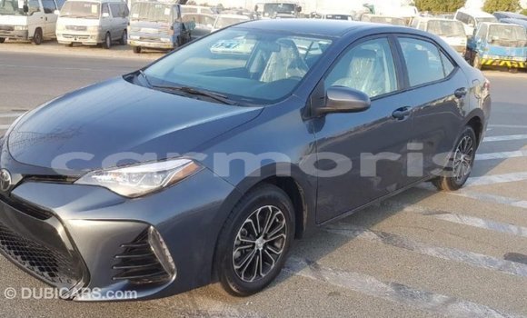 Buy Import Toyota Corolla Other Car in Import - Dubai in Agalega Islands Buy Import Toyota Corolla Other Car in Import - Dubai in Agalega Islands