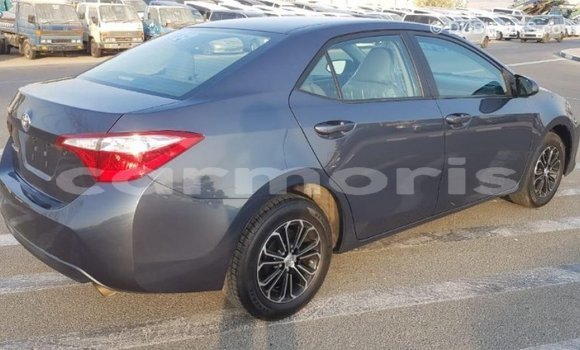 Buy Import Toyota Corolla Other Car in Import - Dubai in Agalega Islands Buy Import Toyota Corolla Other Car in Import - Dubai in Agalega Islands