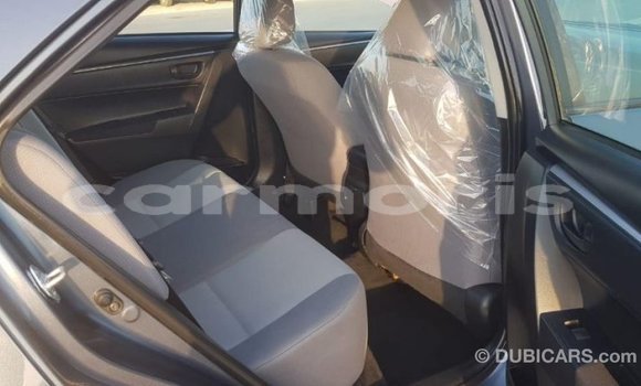 Buy Import Toyota Corolla Other Car in Import - Dubai in Agalega Islands Buy Import Toyota Corolla Other Car in Import - Dubai in Agalega Islands