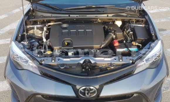 Buy Import Toyota Corolla Other Car in Import - Dubai in Agalega Islands Buy Import Toyota Corolla Other Car in Import - Dubai in Agalega Islands