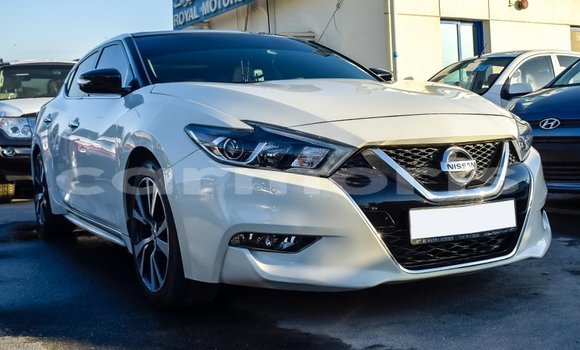 Buy Import Nissan Maxima White Car in Import - Dubai in Agalega Islands Buy Import Nissan Maxima White Car in Import - Dubai in Agalega Islands