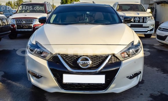 Buy Import Nissan Maxima White Car in Import - Dubai in Agalega Islands Buy Import Nissan Maxima White Car in Import - Dubai in Agalega Islands