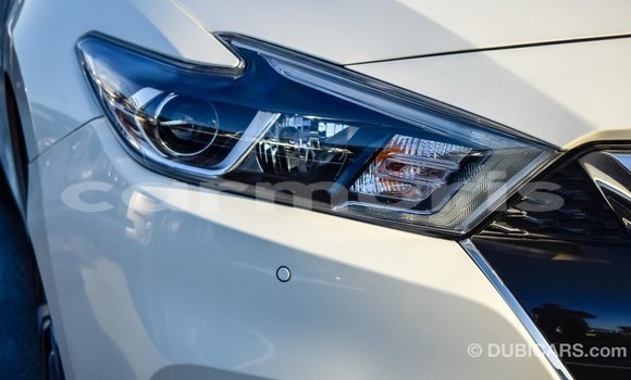 Buy Import Nissan Maxima White Car in Import - Dubai in Agalega Islands Buy Import Nissan Maxima White Car in Import - Dubai in Agalega Islands