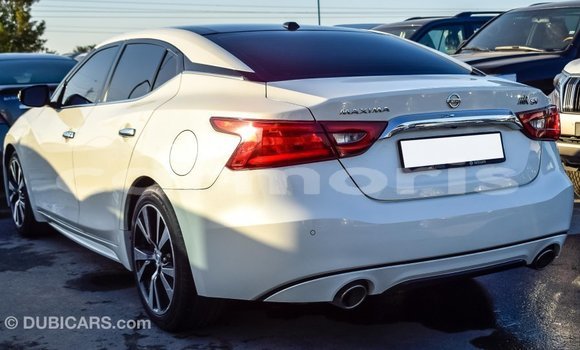 Buy Import Nissan Maxima White Car in Import - Dubai in Agalega Islands Buy Import Nissan Maxima White Car in Import - Dubai in Agalega Islands