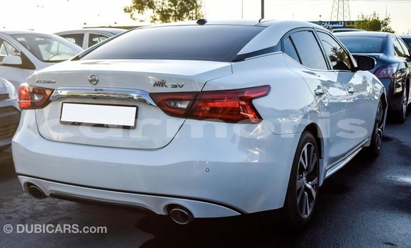 Buy Import Nissan Maxima White Car in Import - Dubai in Agalega Islands Buy Import Nissan Maxima White Car in Import - Dubai in Agalega Islands