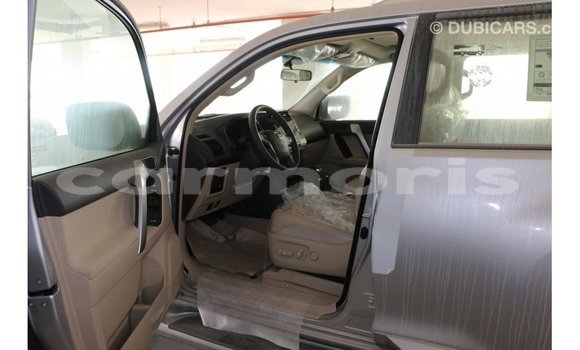 Buy Import Toyota Prado Other Car in Import - Dubai in Agalega Islands Buy Import Toyota Prado Other Car in Import - Dubai in Agalega Islands