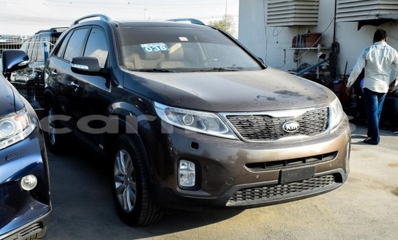 Buy Import Kia Sorento Brown Car in Import - Dubai in Agalega Islands Buy Import Kia Sorento Brown Car in Import - Dubai in Agalega Islands