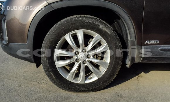 Buy Import Kia Sorento Brown Car in Import - Dubai in Agalega Islands Buy Import Kia Sorento Brown Car in Import - Dubai in Agalega Islands