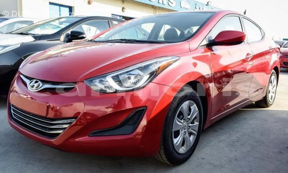 Buy Import Hyundai Elantra Red Car in Import - Dubai in Agalega Islands Buy Import Hyundai Elantra Red Car in Import - Dubai in Agalega Islands