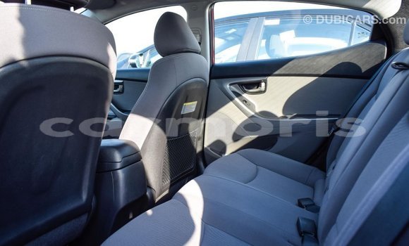 Buy Import Hyundai Elantra Red Car in Import - Dubai in Agalega Islands Buy Import Hyundai Elantra Red Car in Import - Dubai in Agalega Islands