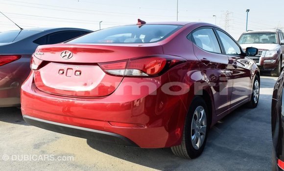 Buy Import Hyundai Elantra Red Car in Import - Dubai in Agalega Islands Buy Import Hyundai Elantra Red Car in Import - Dubai in Agalega Islands