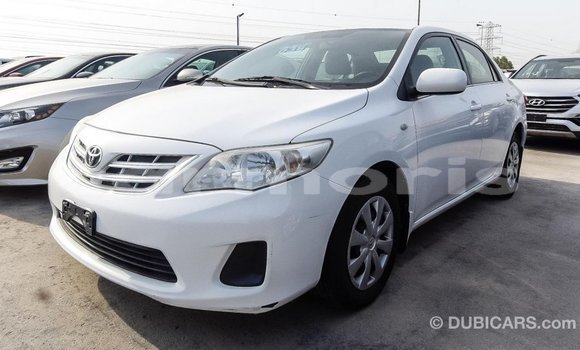 Acheter Import Voiture Toyota Corolla Blanc à Import - Dubai, Îles Agalega Acheter Import Voiture Toyota Corolla Blanc à Import - Dubai, Îles Agalega