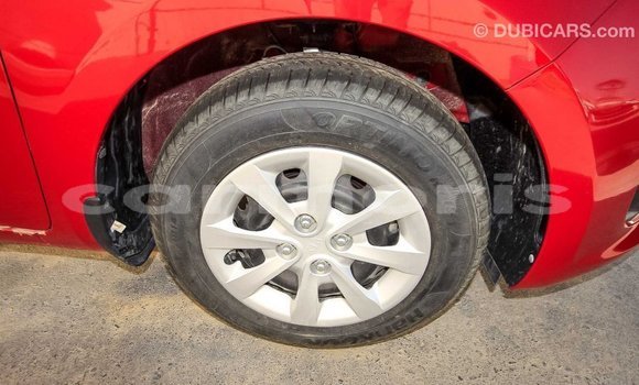 Buy Import Kia Rio Red Car in Import - Dubai in Agalega Islands Buy Import Kia Rio Red Car in Import - Dubai in Agalega Islands